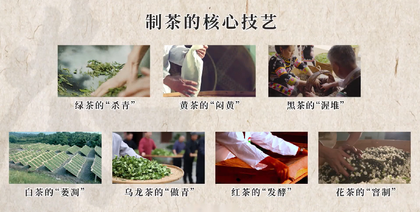 微信图片_20230301144407.png
